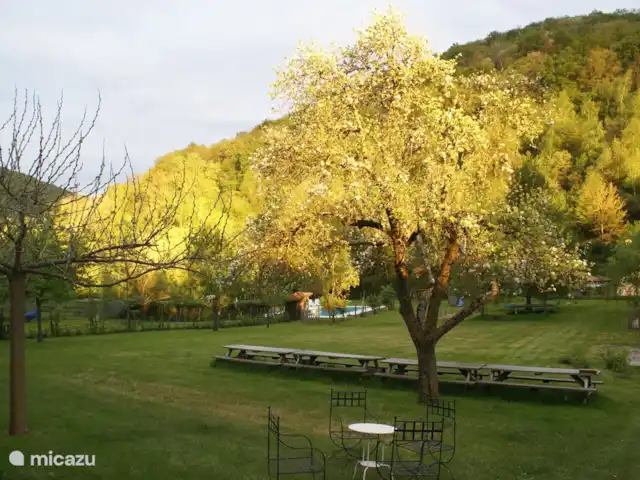 Pyrénées Passions - Le Mont Valier | France, Haute-Garonne, Estadens - gîte / cottage pommier