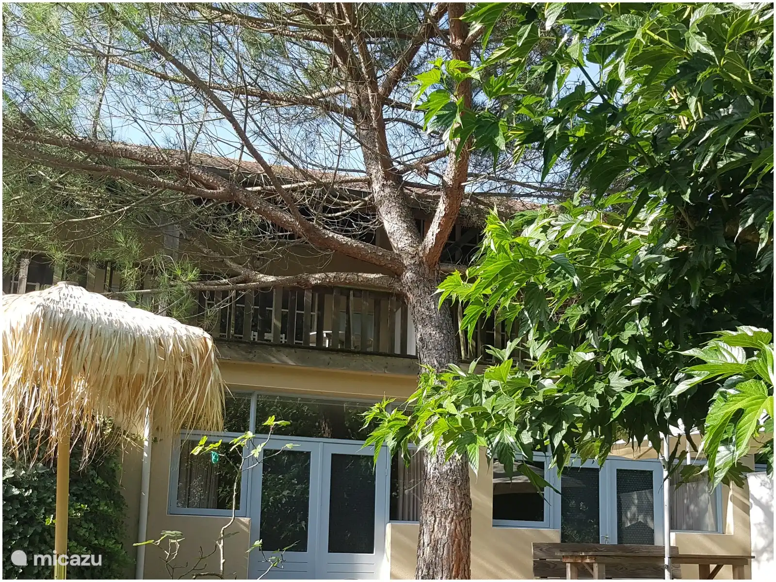 Mont-Valier | Terrasse