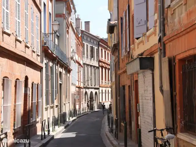 Pyrénées Passions - Vignemale | France, Haute-Garonne, Estadens - gîte / cottage Un jour de congé! Toulouse située sur la rivière la Garonne.