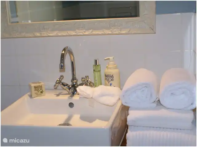 Pyrénées Passions - Sauvegarde | France, Haute-Garonne, Estadens - maison de vacances Gîte Sauvergarde | Salle de Bains