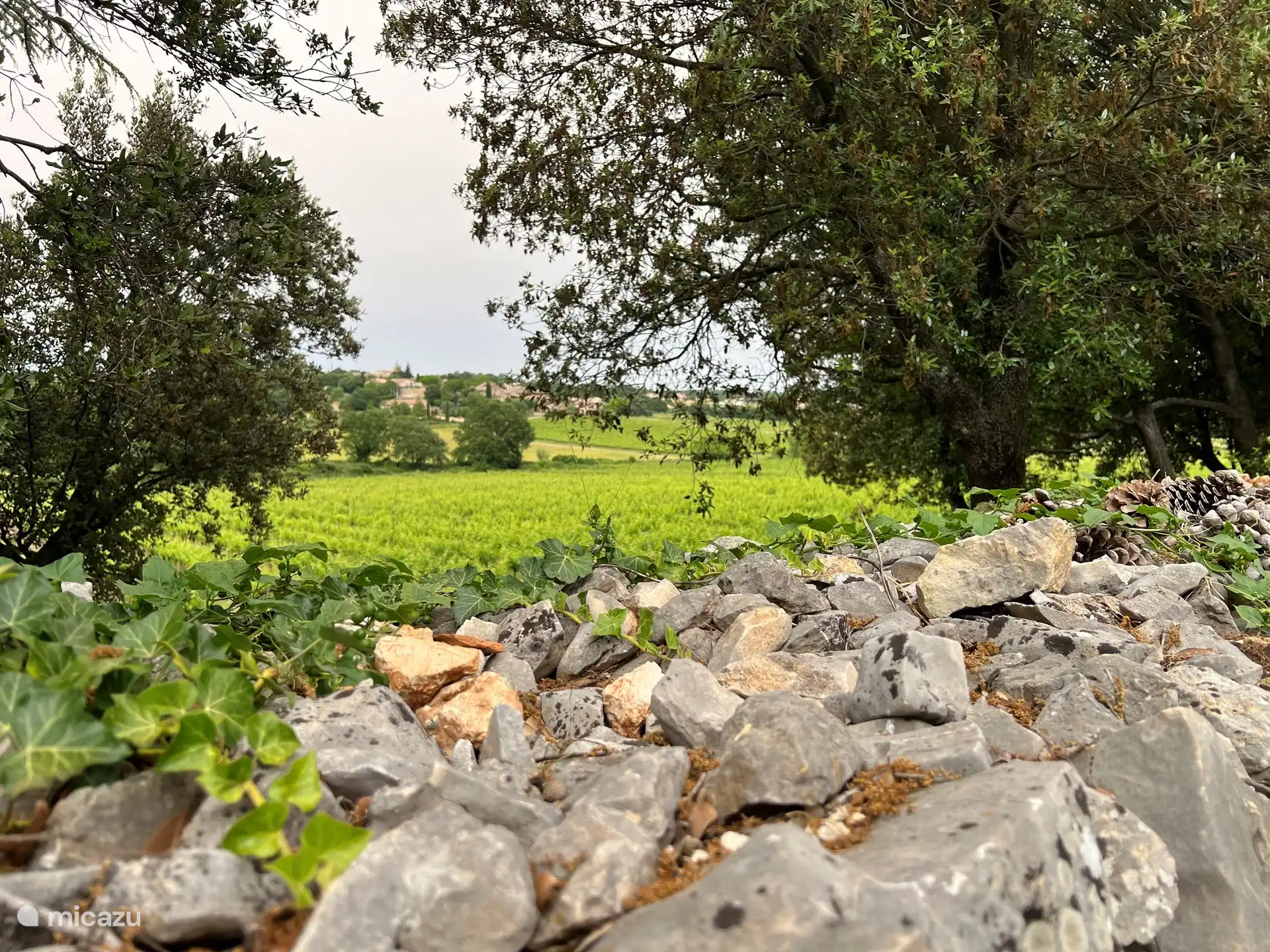 bij heel helder weer ontwaar je de Mont Ventoux tussen de bomen in de verte. hier dus niet op de foto :-/