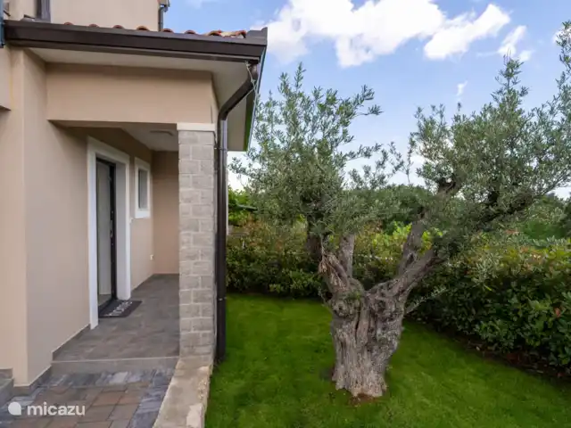 Villa Oliveto en Croacia, Istria, Labin - villa jardín