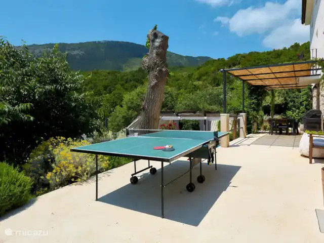 Villa Suzi huren in Kroatië, Istrië, Plomin - villa tafeltennis