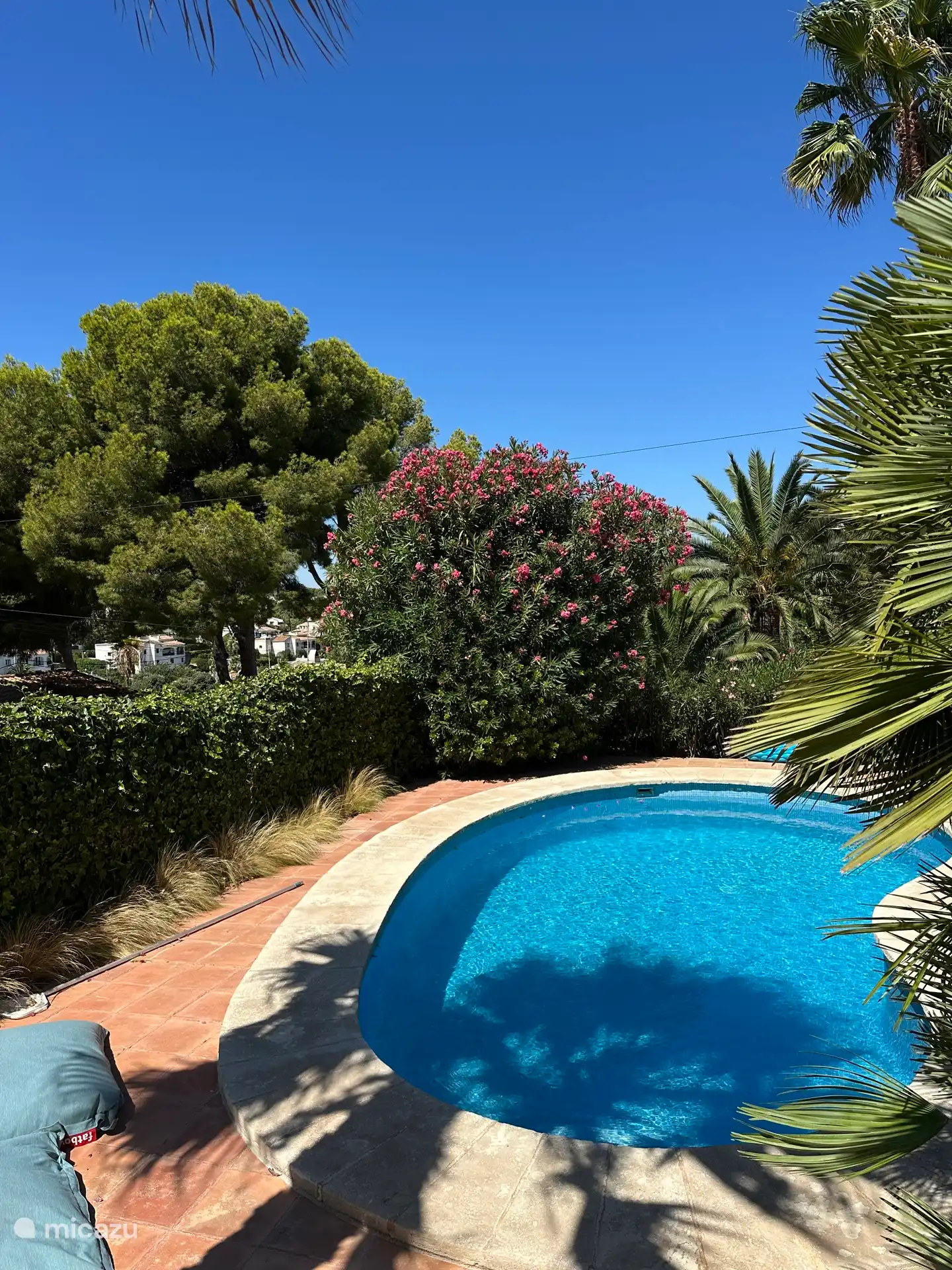 garden and swimming pool