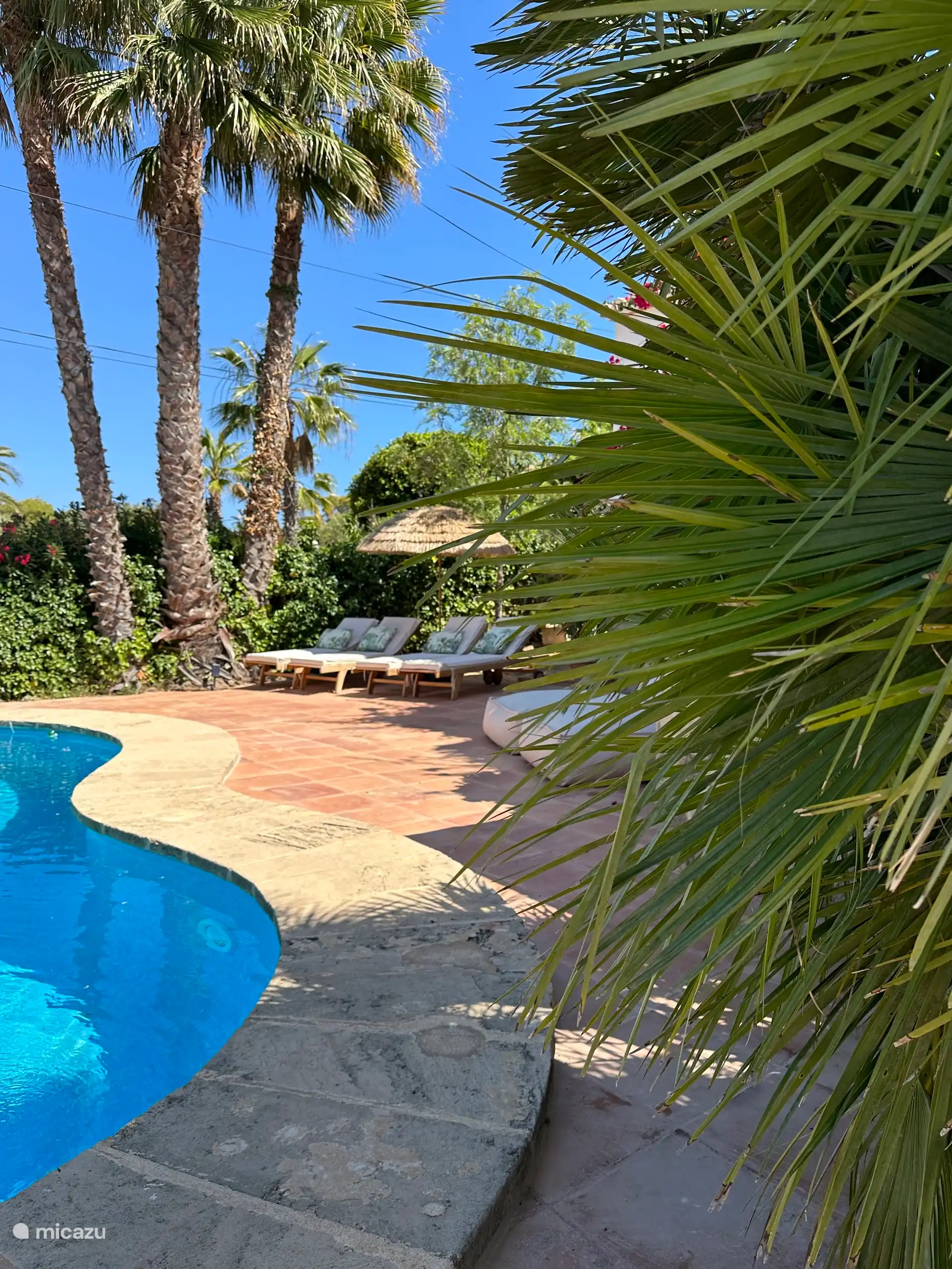 swimming pool with lots of privacy