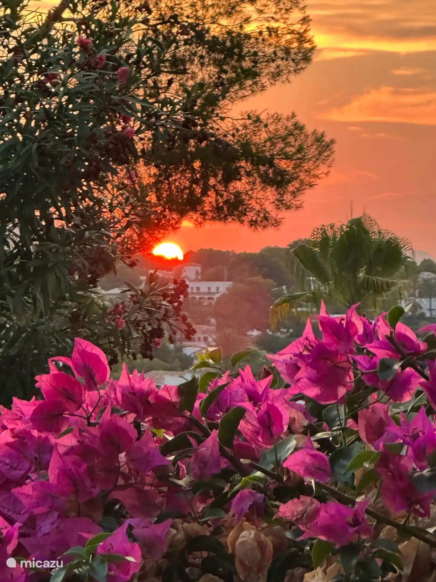 Sunset from the terrace