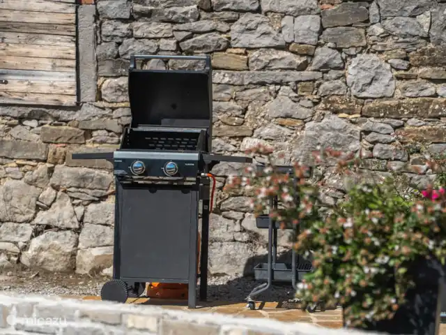 Villa Nikolina huren in Kroatië, Istrië, Buzet - villa bbq