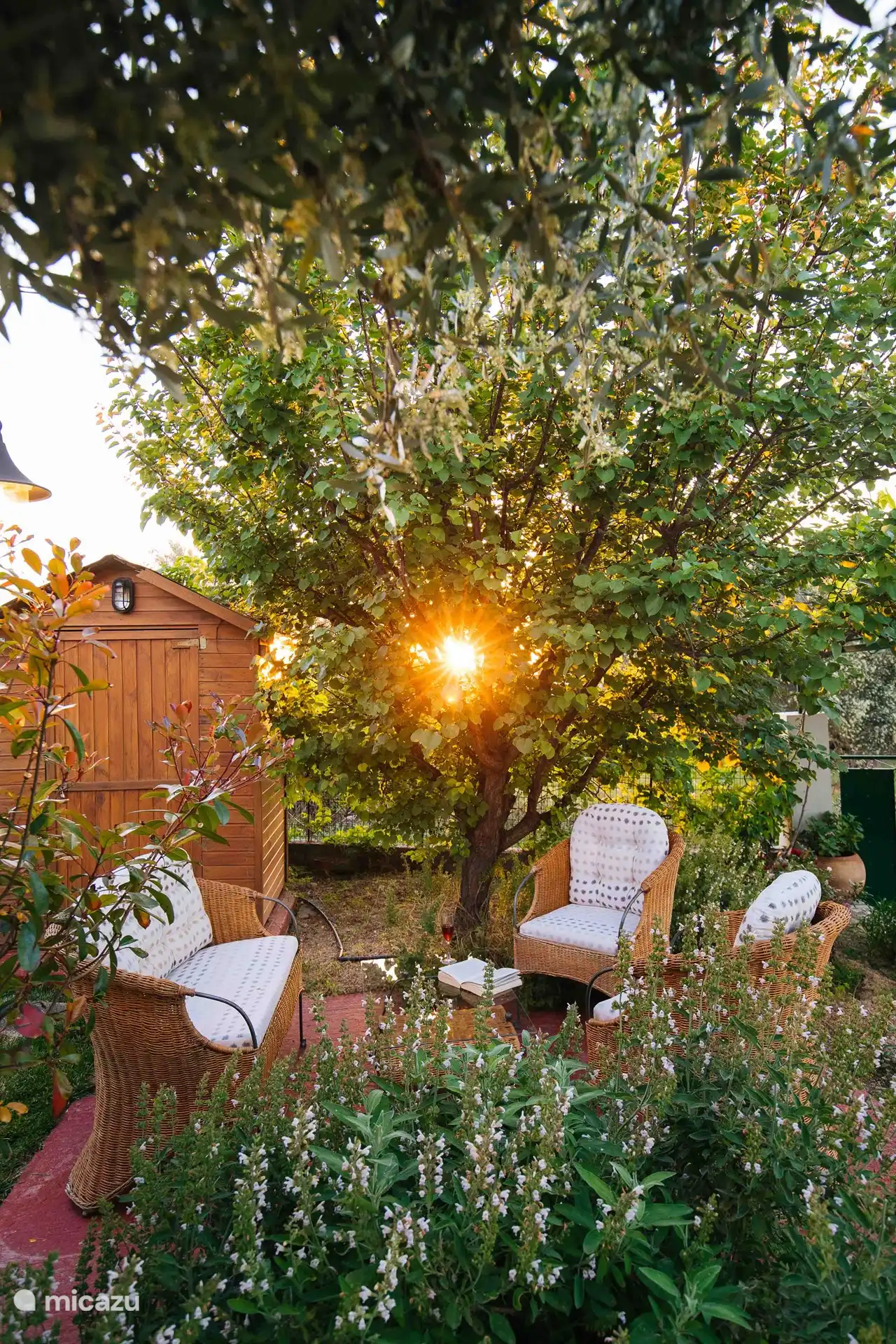 Sitzecke unter dem Aprikosenbaum