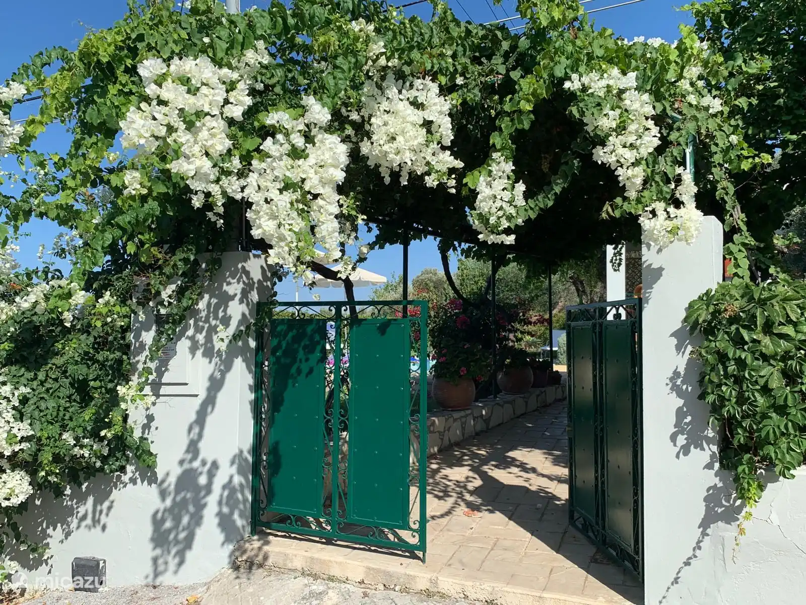 Der Eingang des Anwesens mit den riesigen Bucamvilias 