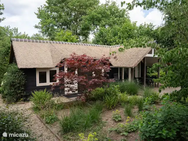 Heivlinder 6 personnes | Pays-Bas, Gueldre, Ermelo - chalet Heivlinder 6 personnes | Pays-Bas, Gueldre, Ermelo - chalet