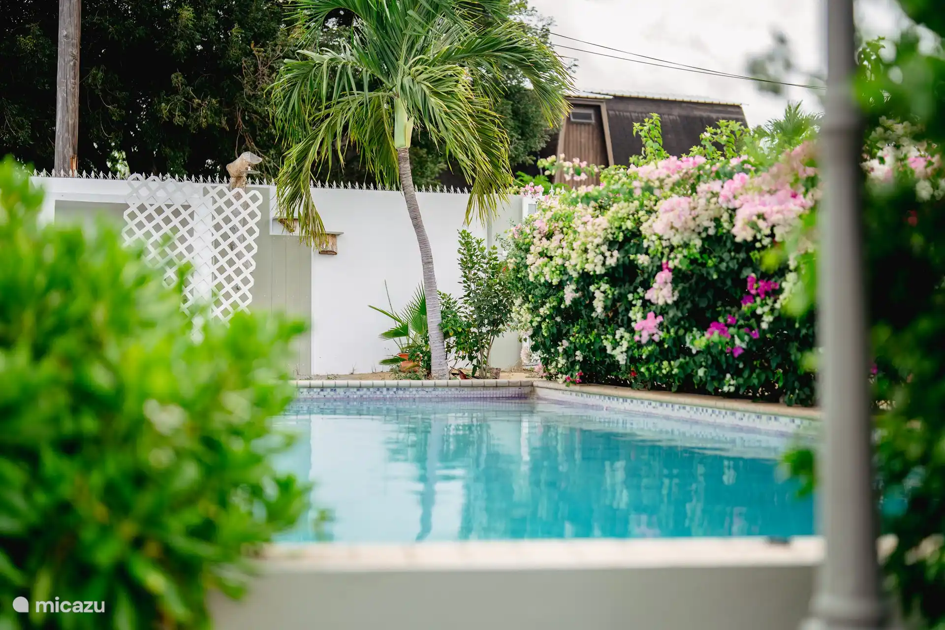 swimming pool + lounge