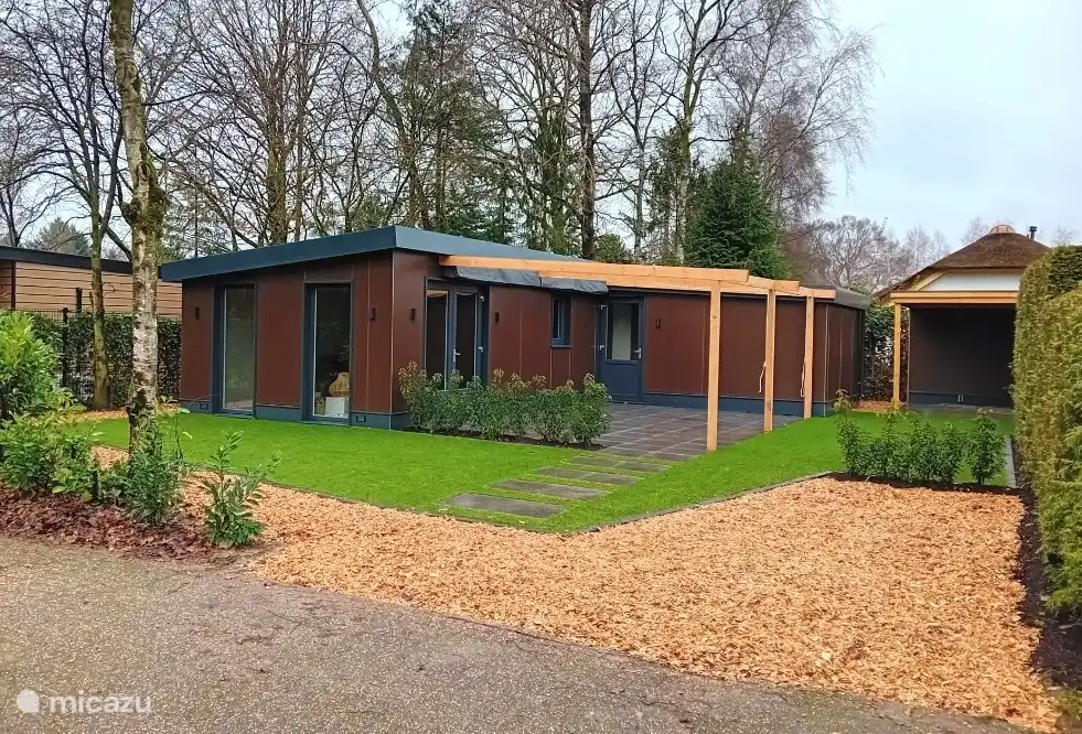 Sol de invierno, Países Bajos, Güeldres, Putten, casa vacacional Seta del bosque 4-19