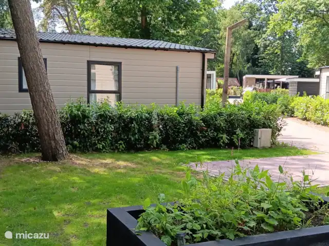 PrinceDélicieux | Pays-Bas, Gueldre, Harderwijk - chalet Vue, Jardin