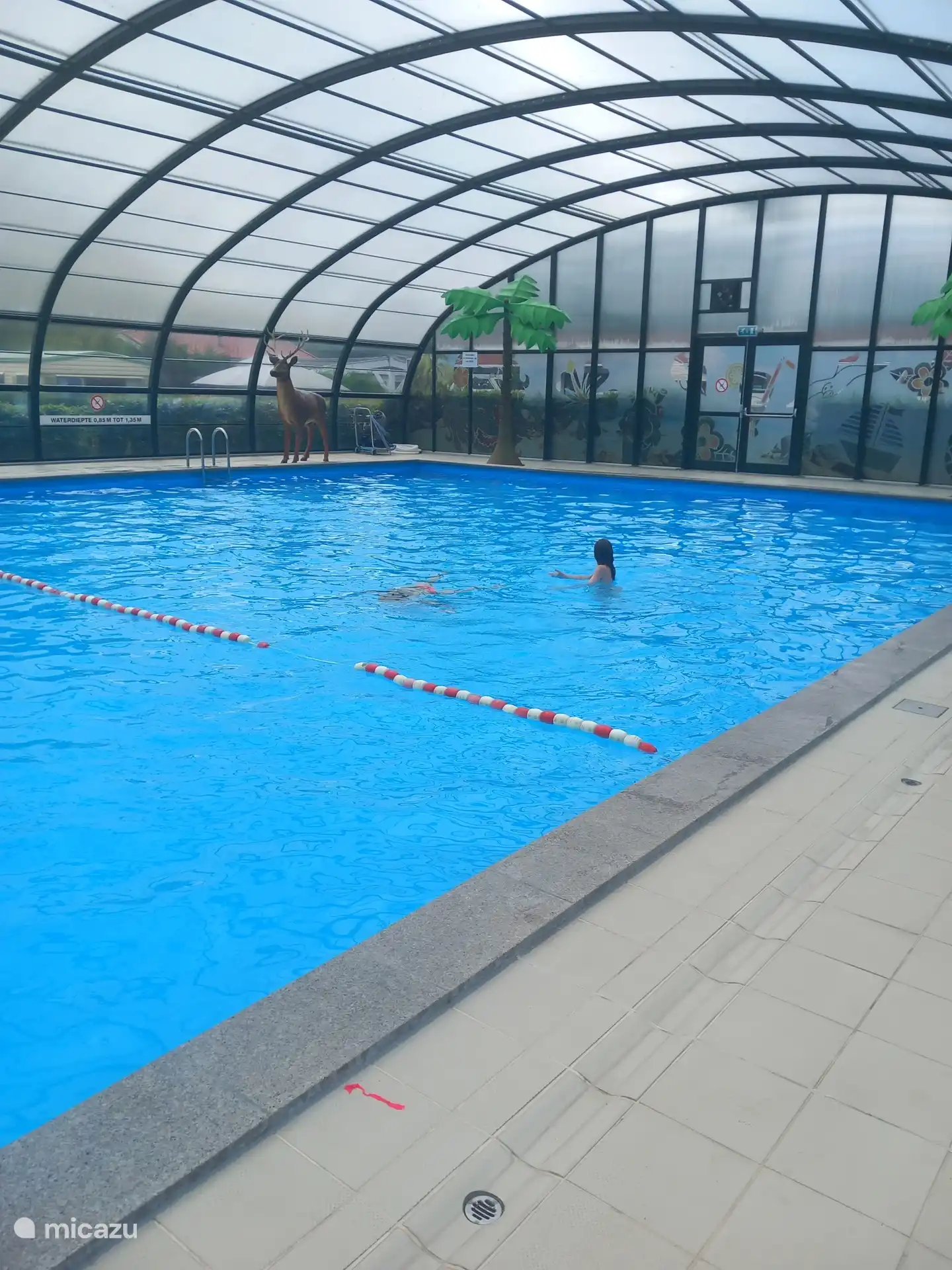 Piscine intérieure
