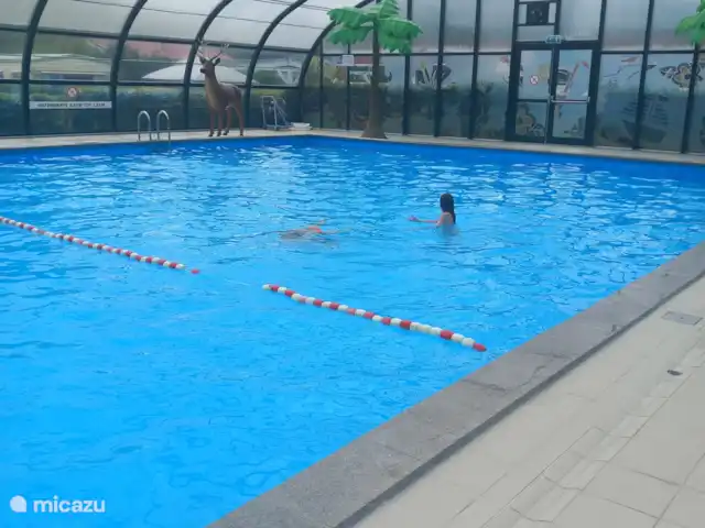 PrinceDélicieux | Pays-Bas, Gueldre, Harderwijk - chalet Piscine intérieure