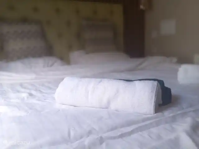 PrinceDélicieux | Pays-Bas, Gueldre, Harderwijk - chalet Lit double, draps et serviettes inclus