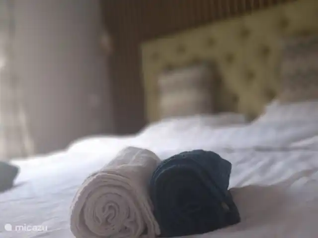 PrinceDélicieux | Pays-Bas, Gueldre, Harderwijk - chalet Lit double, draps et serviettes inclus