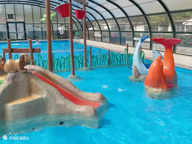 PrinceDélicieux | Pays-Bas, Gueldre, Harderwijk - chalet piscine