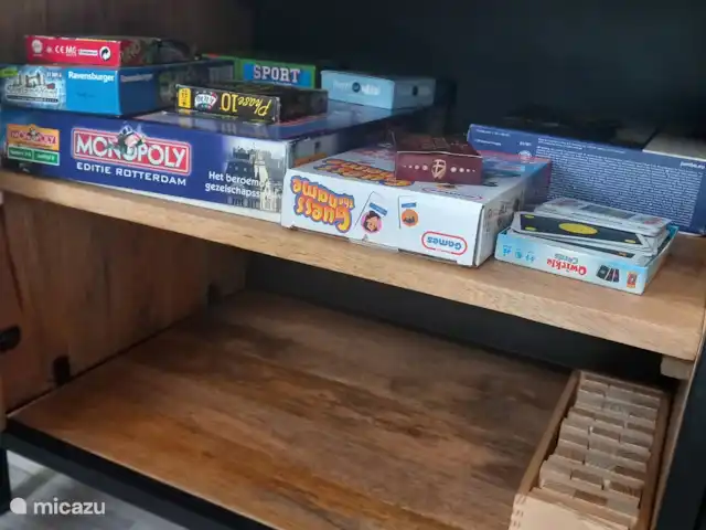 PrinceDélicieux | Pays-Bas, Gueldre, Harderwijk - chalet Jeux