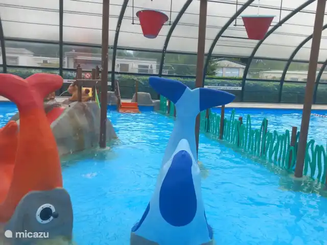 PrinceDélicieux | Pays-Bas, Gueldre, Harderwijk - chalet Piscine intérieure