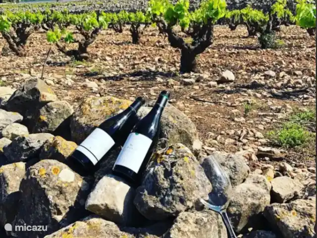 Casa El Ojo Dorado | Espagne, Costa Blanca, Lliber - finca Vergers viticoles