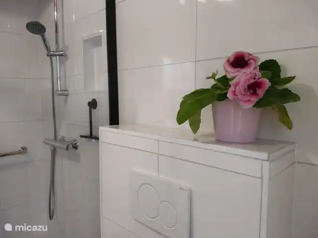 Maison familiale 't Spoorhuis | Pays-Bas, Groningue, Zoutkamp - bungalow Avec douche et WC