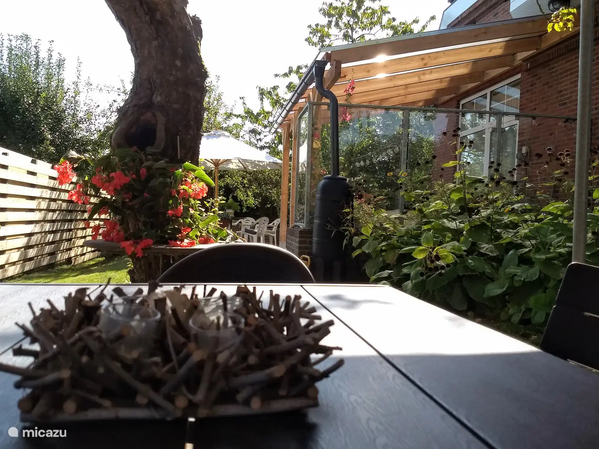 Blumen- und Pflanzenschönheit im Garten