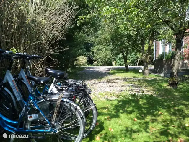 Maison familiale 't Spoorhuis | Pays-Bas, Groningue, Zoutkamp - bungalow Les places de parking à côté de la maison.