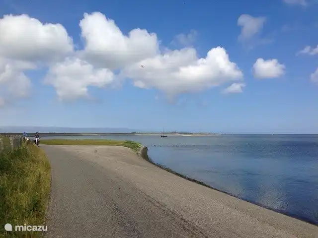 Es lässt sich wunderbar am Deich am Wattenmeer entlang radeln.