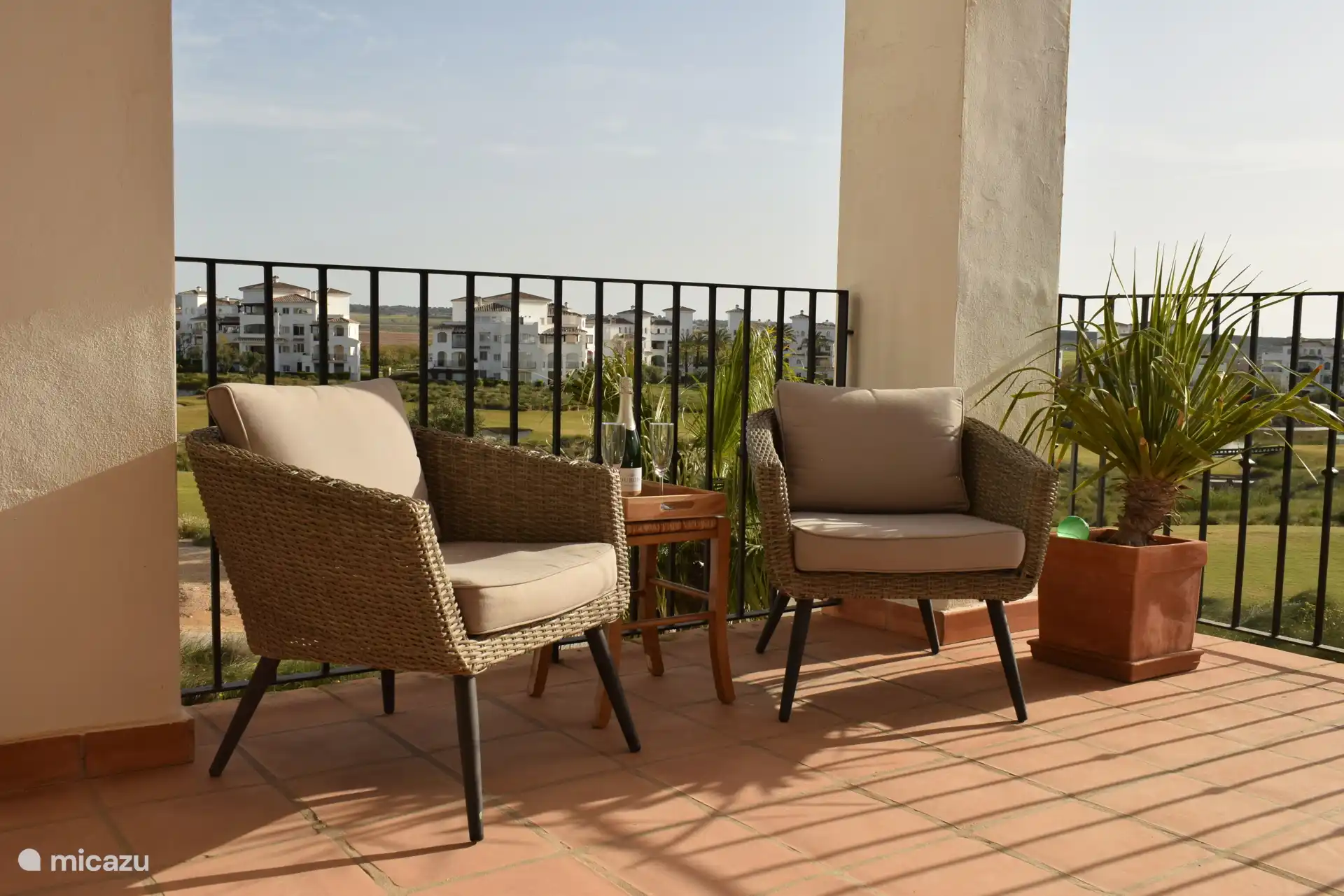 Terras 