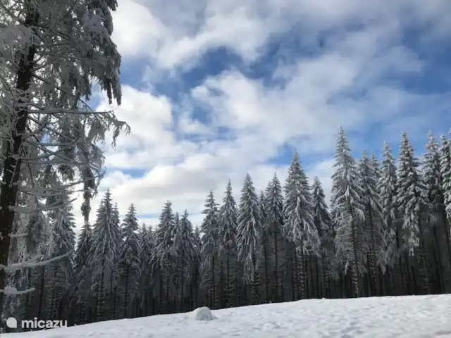 Apartamento Wolkenplatz en Alemania, Sauerland, Winterberg - apartamento