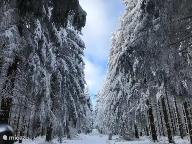 Apartamento Wolkenplatz en Alemania, Sauerland, Winterberg - apartamento