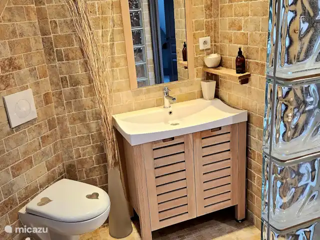 Vue Sur la Prairie  huren in Frankrijk, Dordogne, Castelnaud-la-Chapelle - vakantiehuis Gedeelde doucheruimte