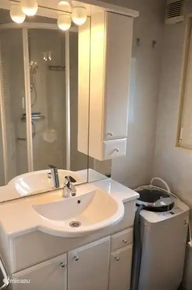 das Badezimmer mit Dusche und Waschbecken