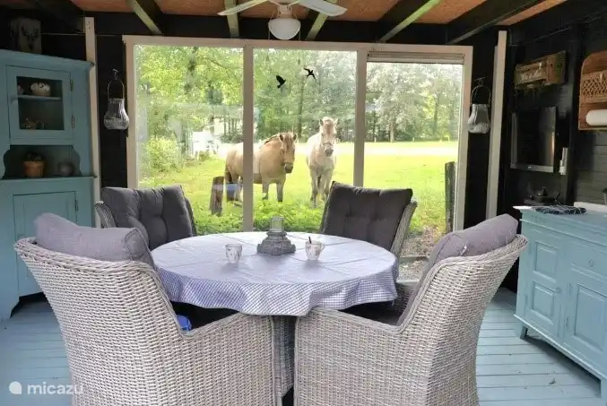 Die Veranda, wo es wunderbar ist, mit einem schönen Blick auf die Wiese, auf der oft Pferde grasen