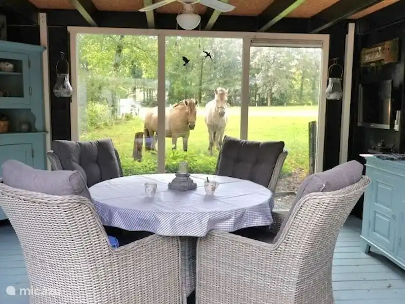 Gîte Weltevree | Pays-Bas, Overijssel, Nutter - Chalet Gîte Weltevree | Pays-Bas, Overijssel, Nutter - Chalet