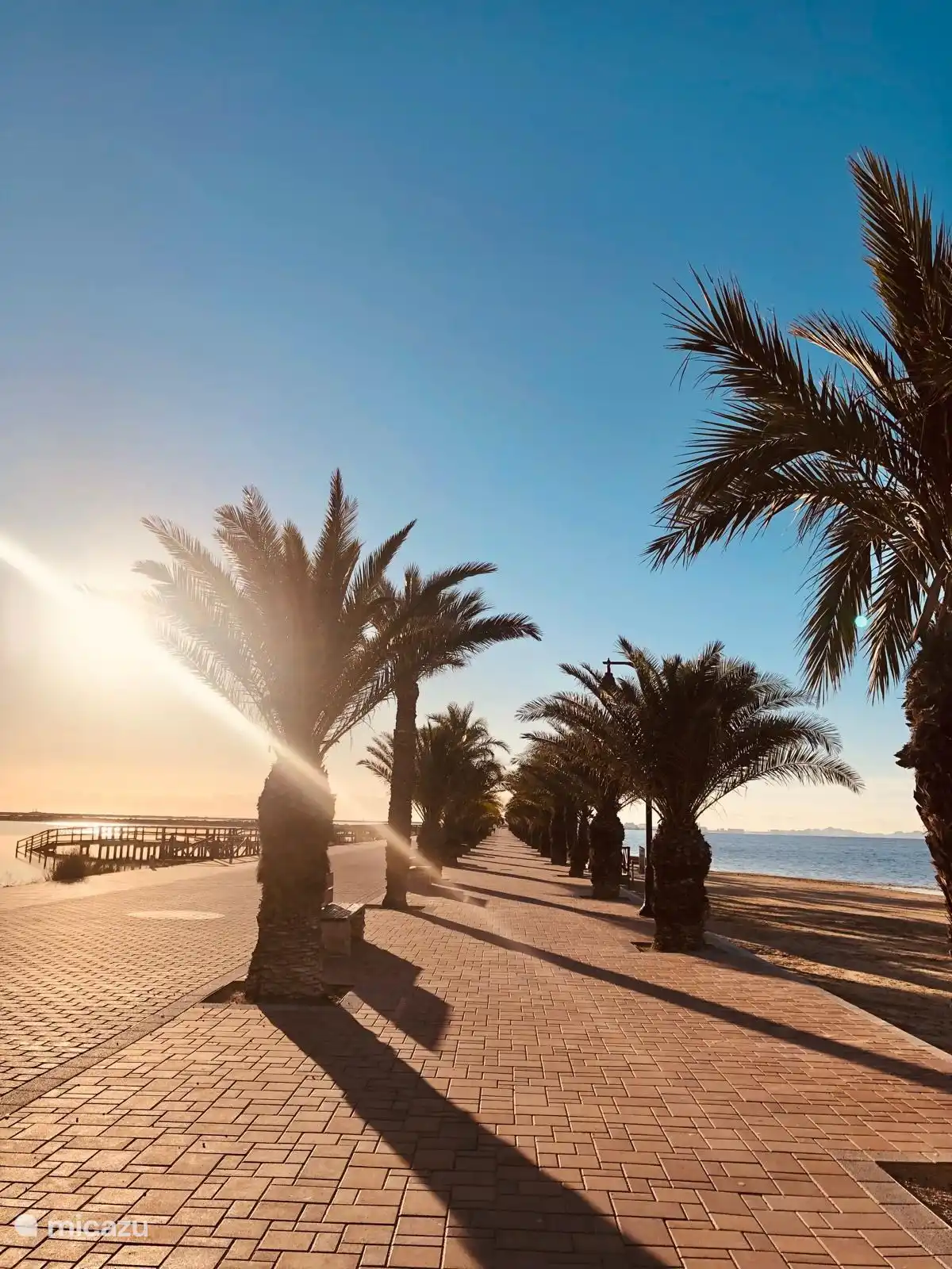 Puerto de San Pedro del Pinatar