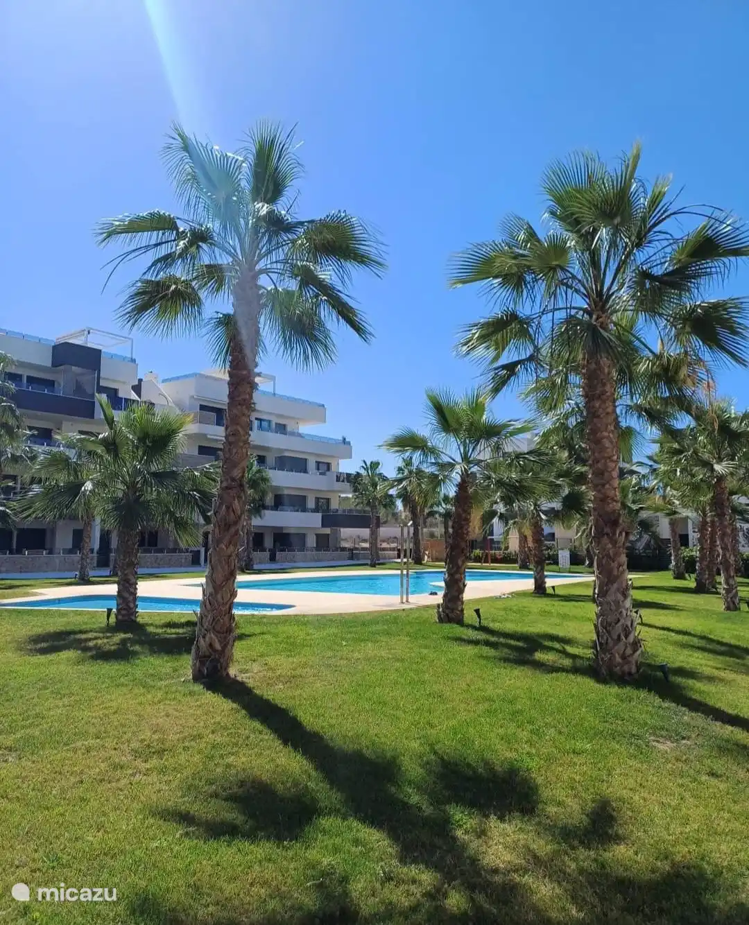 Jardín tranquilo con palmeras para dar sombra