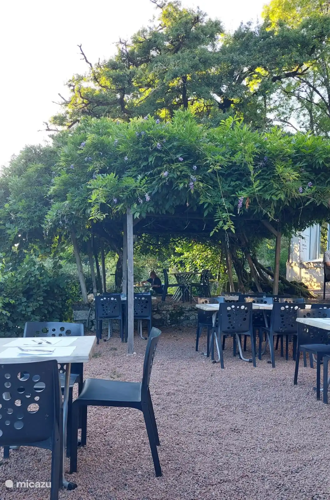 Jard&#237;n al aire libre restaurante castillo