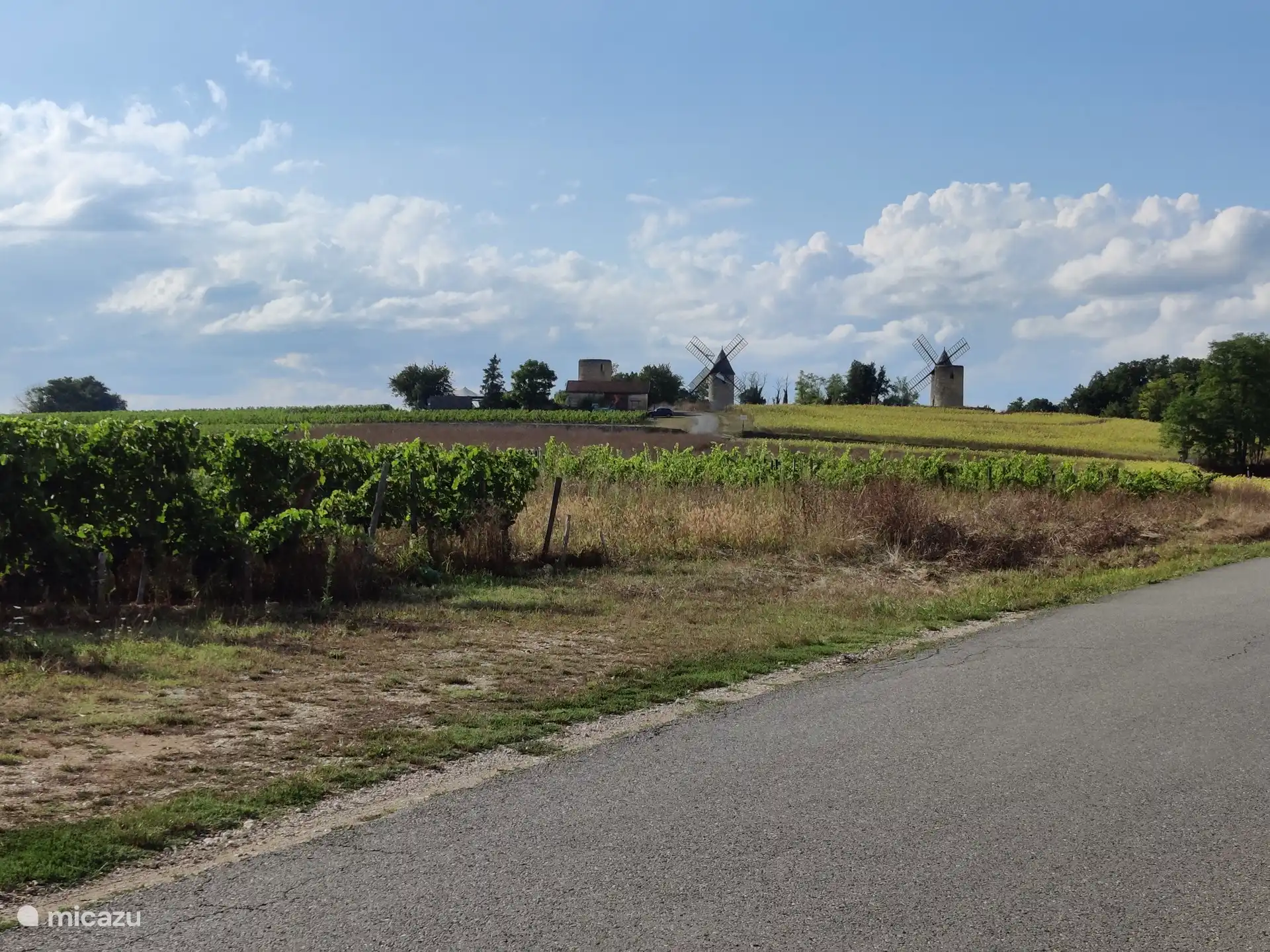 Por supuesto, los vi&#241;edos, no el camping, de camino a Saint Emiolion