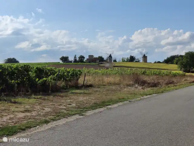 Château le Verdoyer  en Francia, Dordoña, Champs-Romain - mobil home / caravana Por supuesto, los viñedos, no el camping, de camino a Saint Emiolion