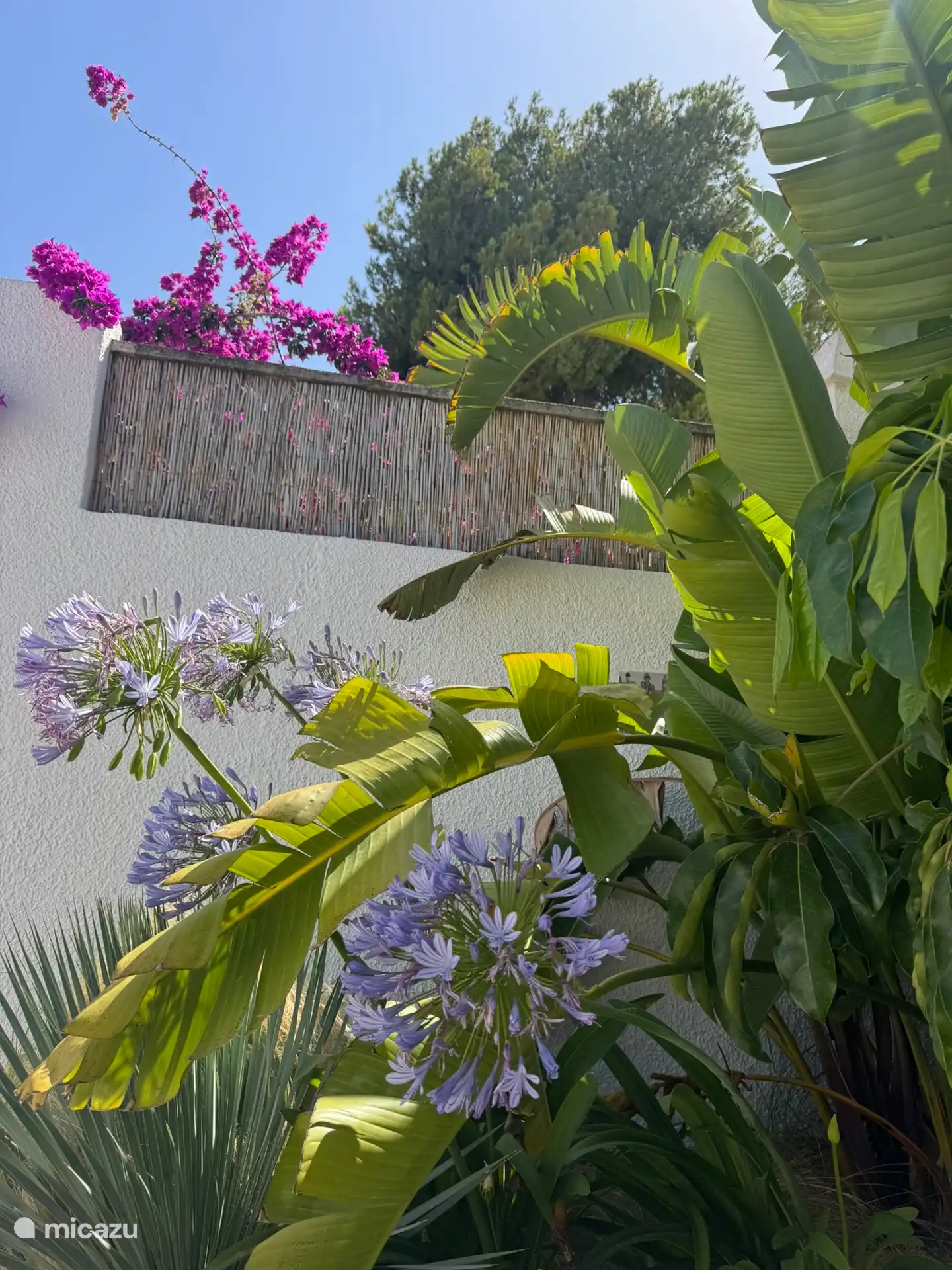 stukje tuin