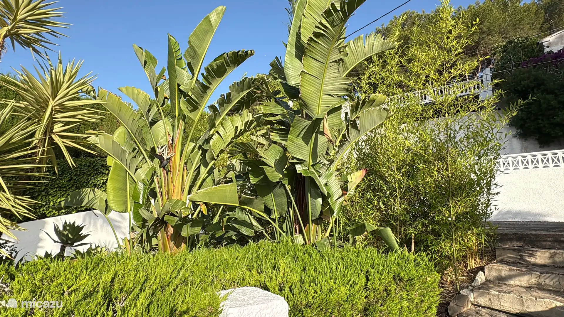 Jardín
