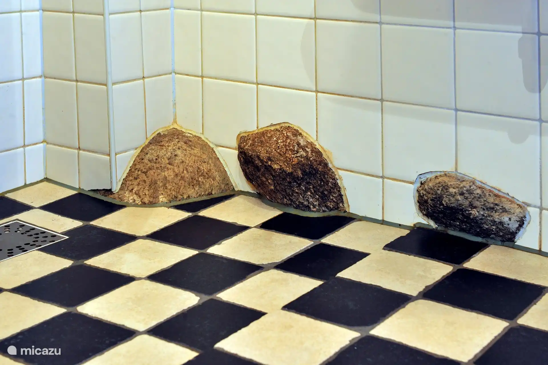 Sheepfold - Erve Scholten