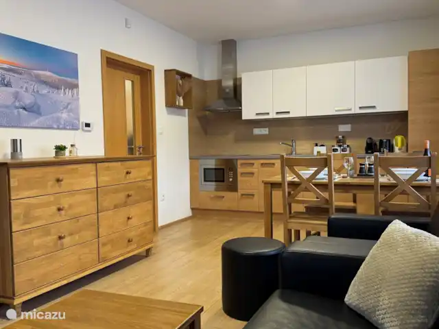 Apartman Pod Mramorovym vrchem | République Tchèque, Olomouc, Lipová-lázně - appartement Salon
