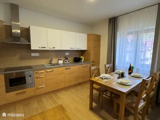 Apartman Pod Mramorovym vrchem | République Tchèque, Olomouc, Lipová-lázně - appartement Cuisine