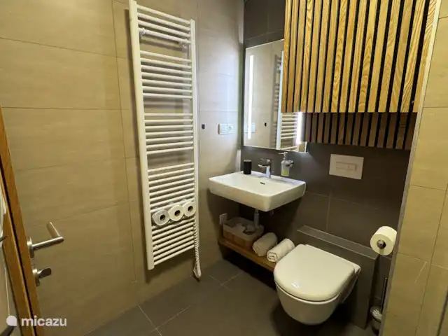 Apartman Pod Mramorovym vrchem | République Tchèque, Olomouc, Lipová-lázně - appartement Salle de Bains