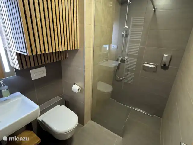 Apartman Pod Mramorovym vrchem | République Tchèque, Olomouc, Lipová-lázně - appartement Salle de Bains