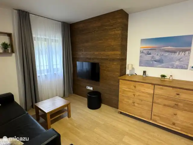 Apartman Pod Mramorovym vrchem | République Tchèque, Olomouc, Lipová-lázně - appartement Salon