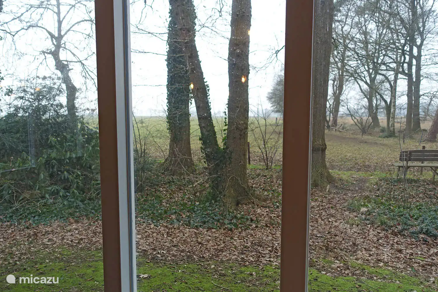 Berg- und Waldhaus B&B13, Blick aus dem Wohnzimmer